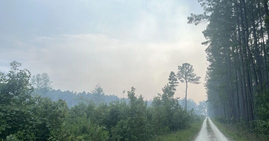 Francis Marion wildfire now 10 percent contained. Officials hope forecast rain will help.
