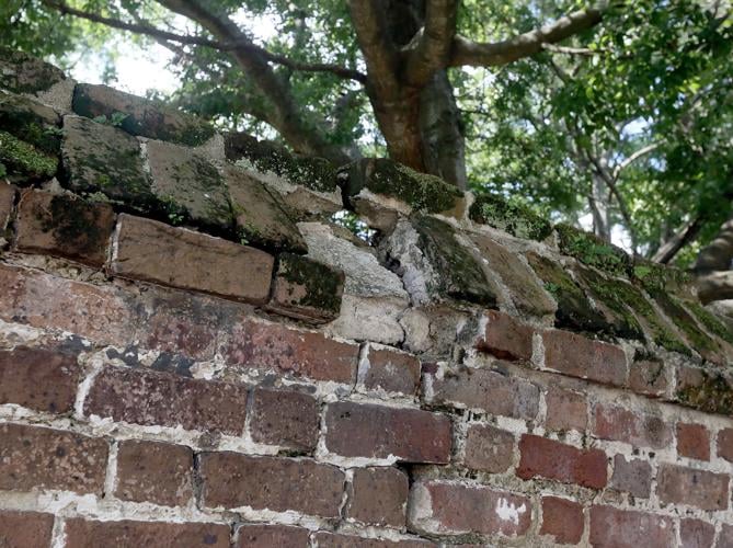 Cress Darwin - Pastor, Head of Staff - Second Presbyterian Church,  Charleston SC