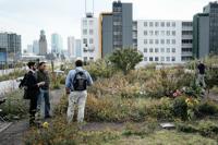 A green roof