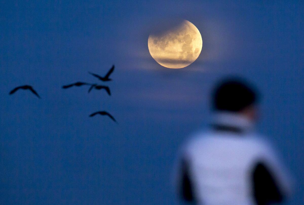 Moons online only10.JPG