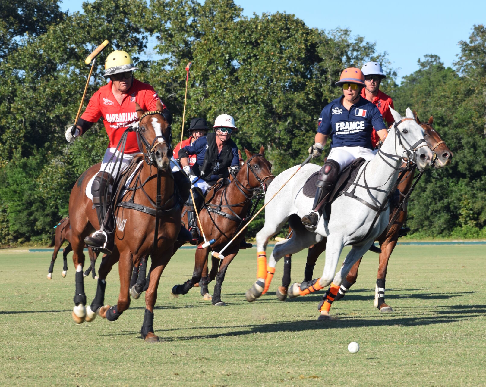 la polo match
