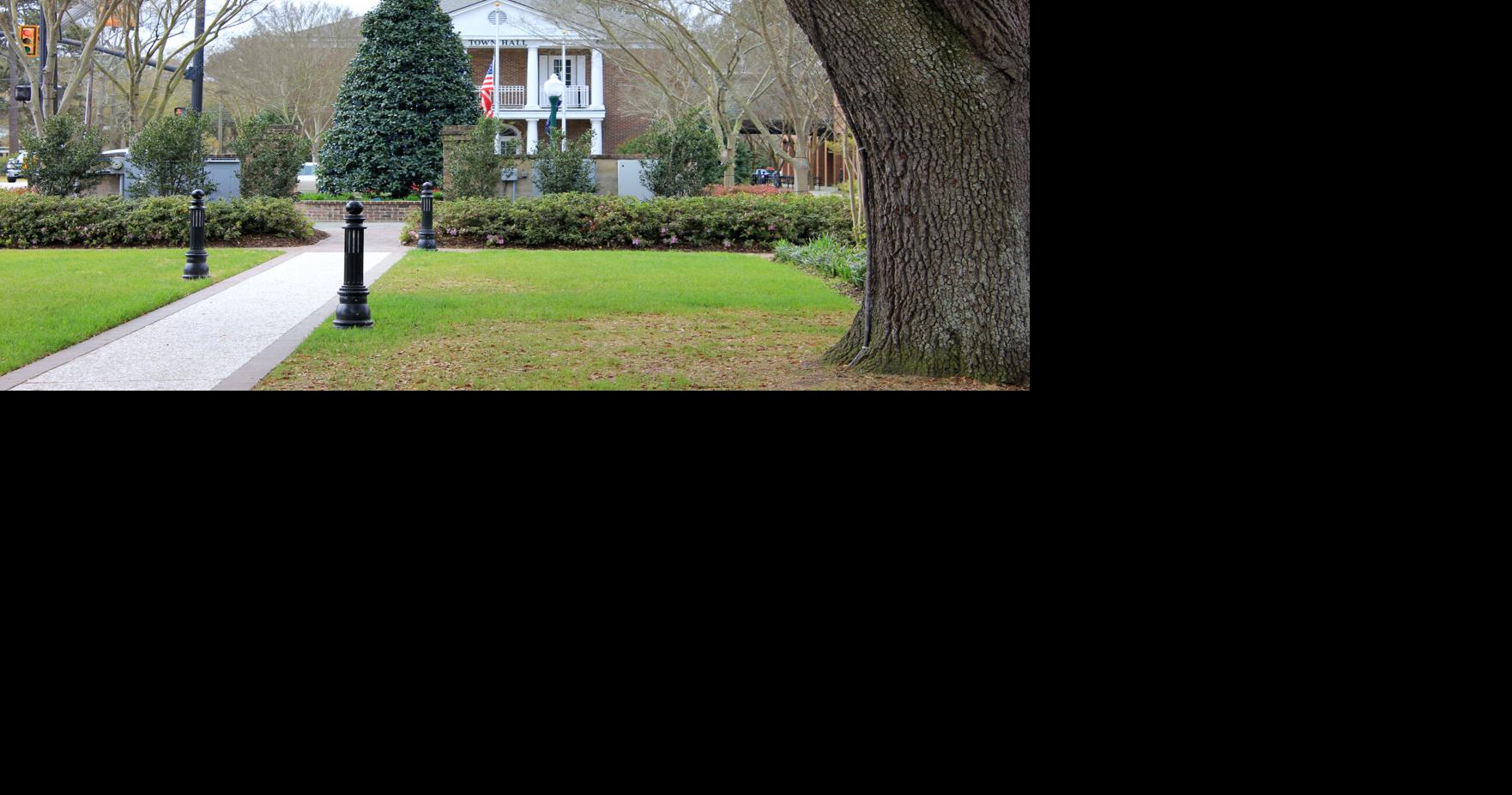 Summerville Town Council approves Historic District rezoning amid fears about ‘commercialization’