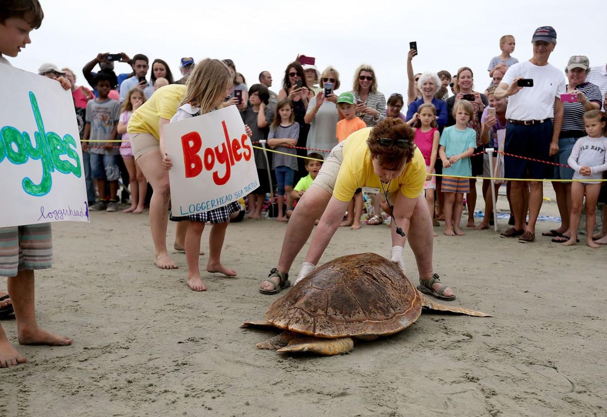 South Carolina Aquarium releases five loggerheads