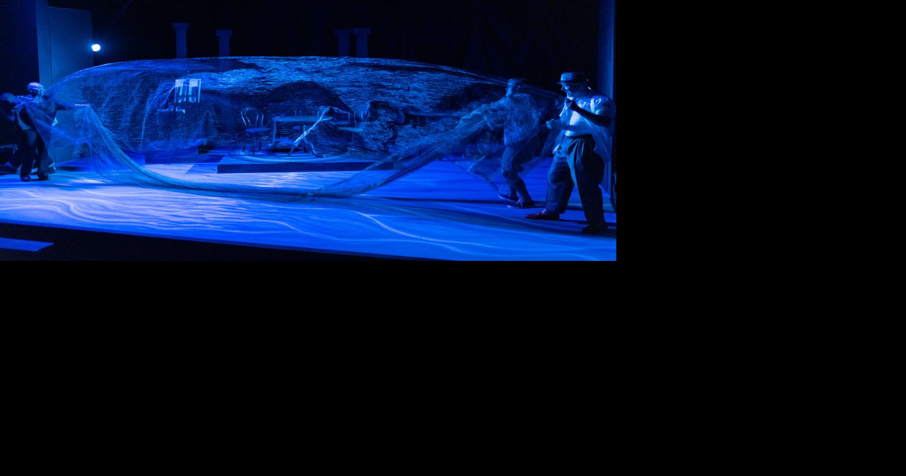 Review: Charleston world premiere of 'The Ocean We Swim In' asks for forgiveness, not permission