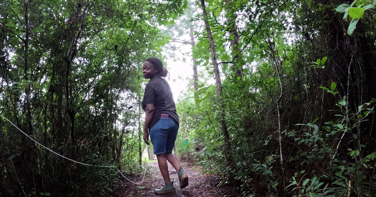 Georgetown farm works to preserve Gullah-Geechee culture