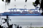 Charleston port's largest shipping line sees tougher times on the horizon