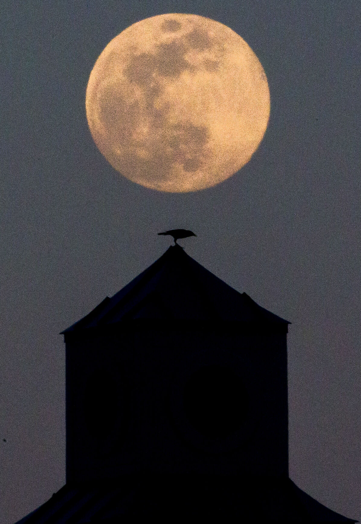 Moons online only11.JPG
