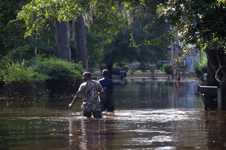 Bucksport Martin Luther Drive.JPG