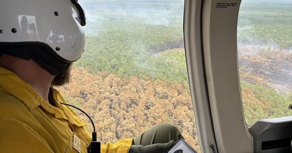 Francis Marion wildfire nearly half contained, officials report