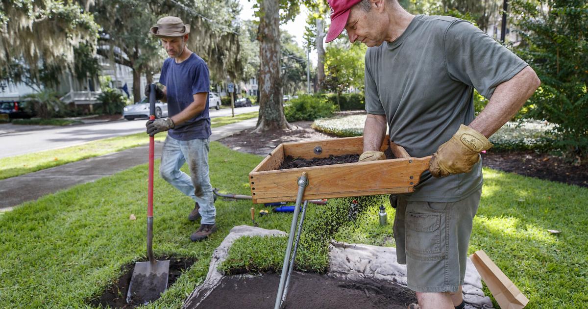 Helier Dig In an unusually public archaeological dig, Beaufort residents learn ...