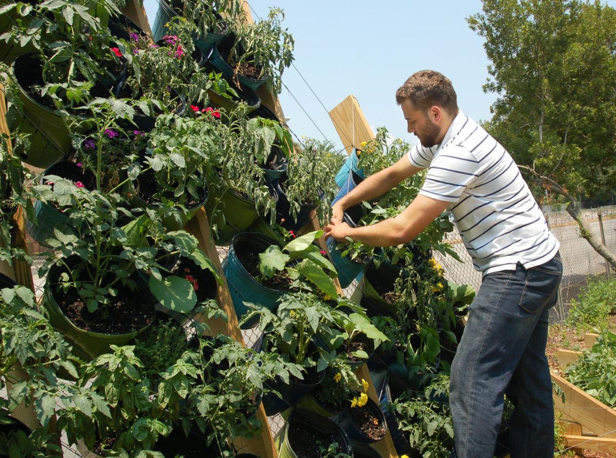 Vertical garden