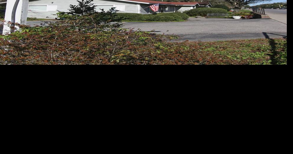 The Mustard Seed is closing in Mount Pleasant Food