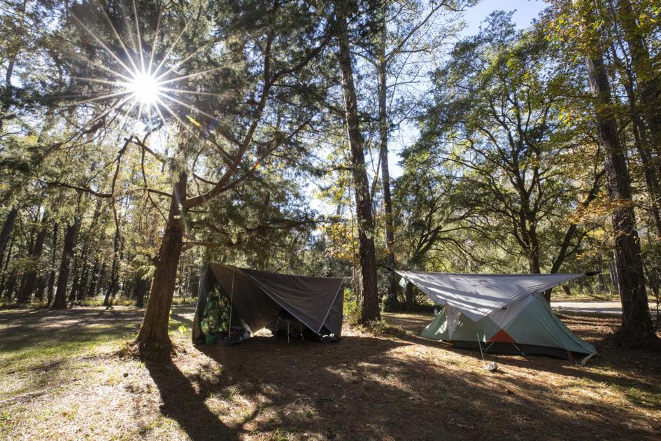 All About James Island County Park