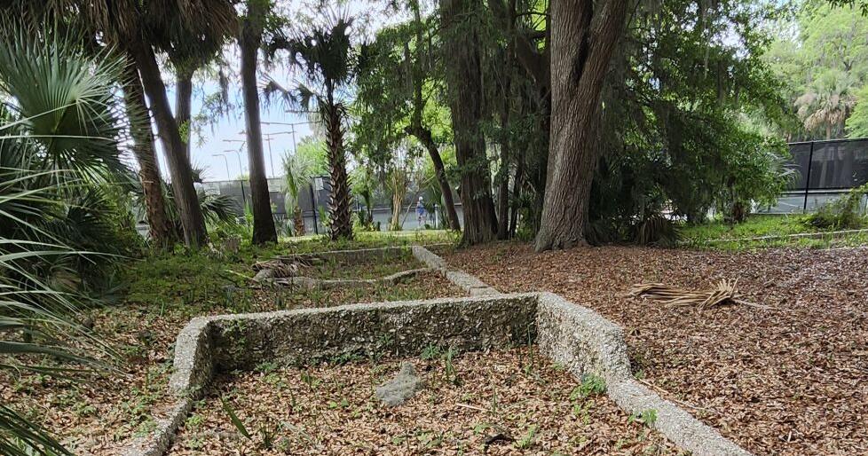 ARTS AND HUMANITIES: Visiting the tabby ruins on Dataw Island