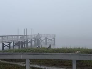 fog 1.jpeg