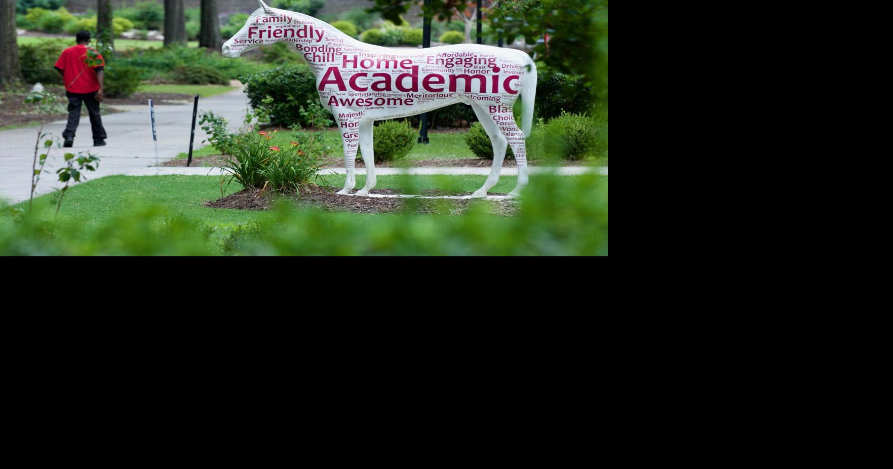 Breaking: USC Aiken cancels in-person classes today | Aiken Area