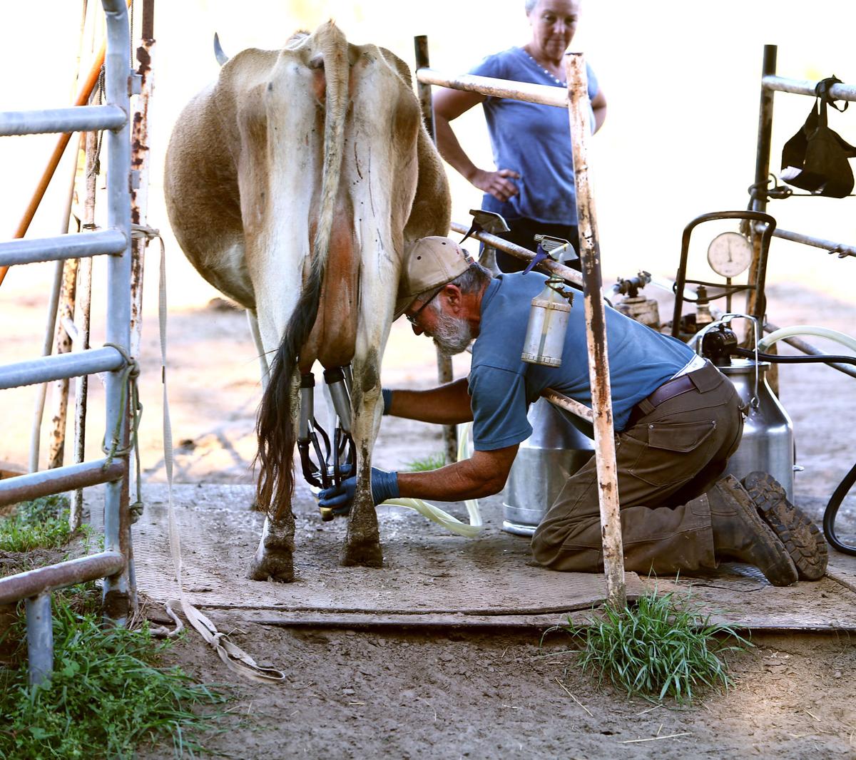 insidemachine raw milk