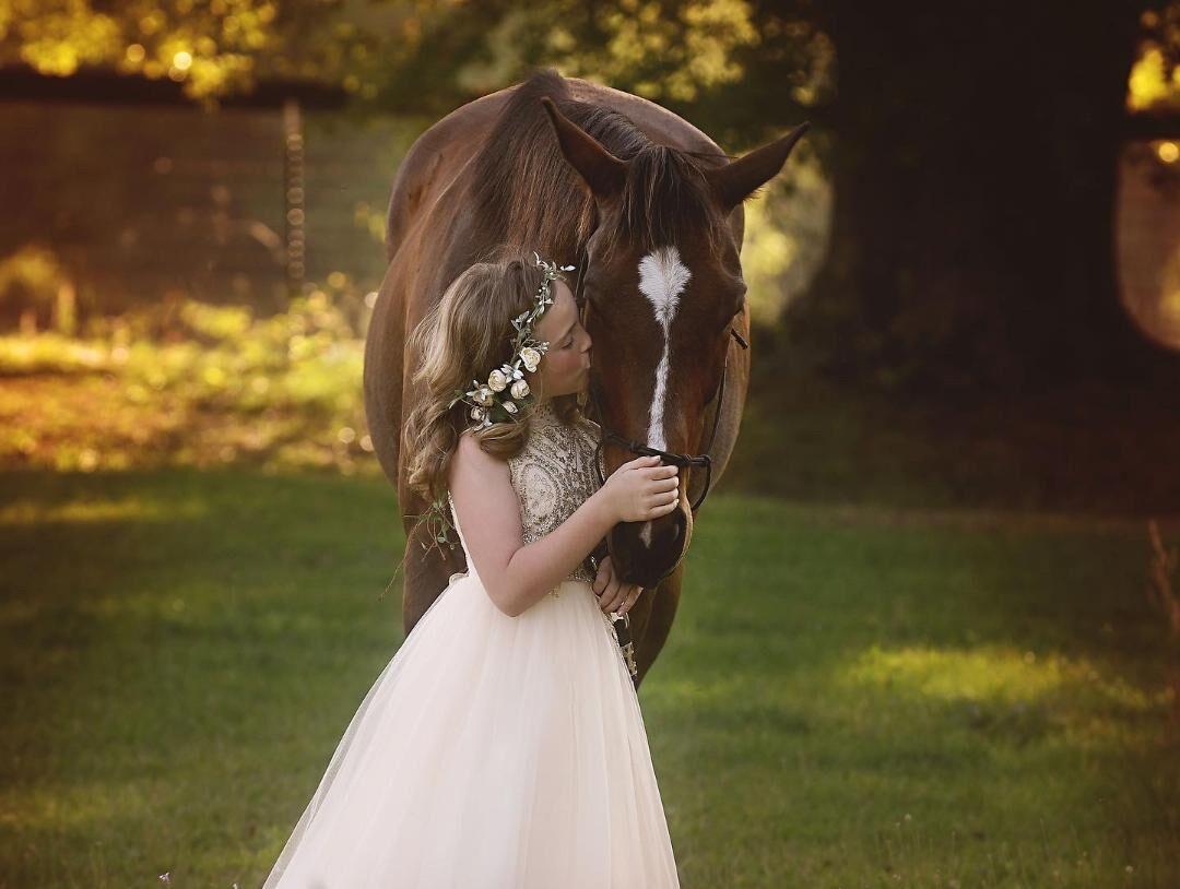 White Rose Eclectics to host gala in Aiken for Equine Rescue Aiken