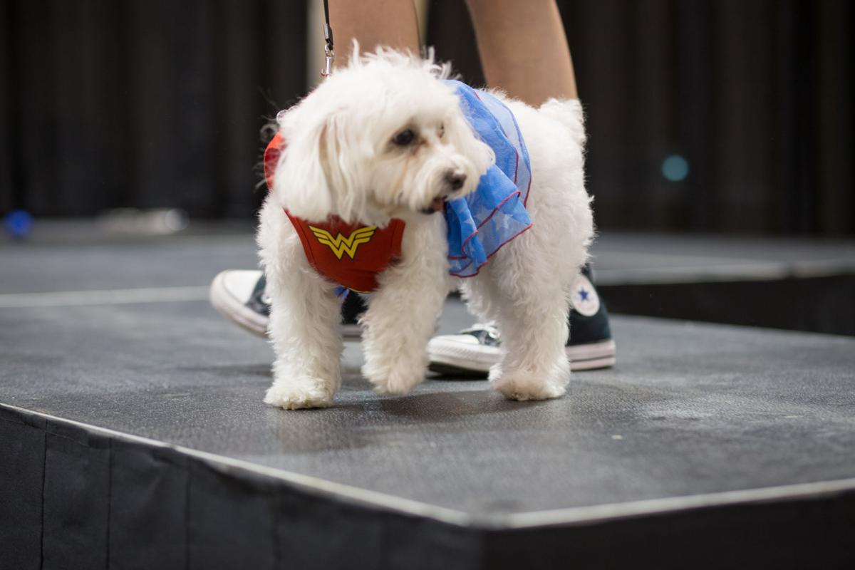 Pet Expo-October 14, 2017-579