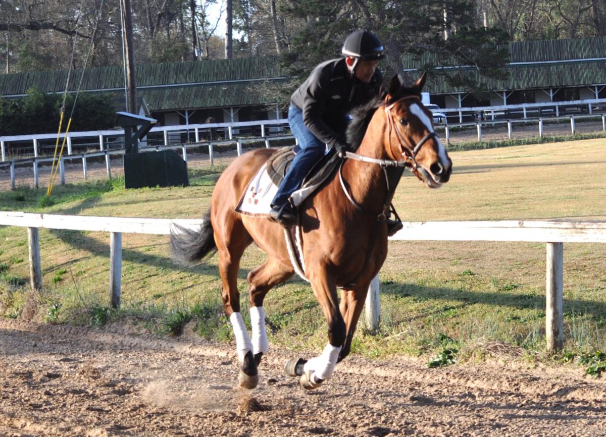 After surviving harrowing trip, colic, Mead Hall makes it to Aiken