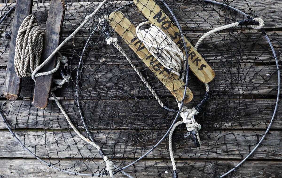 no sharks in net detail.jpg