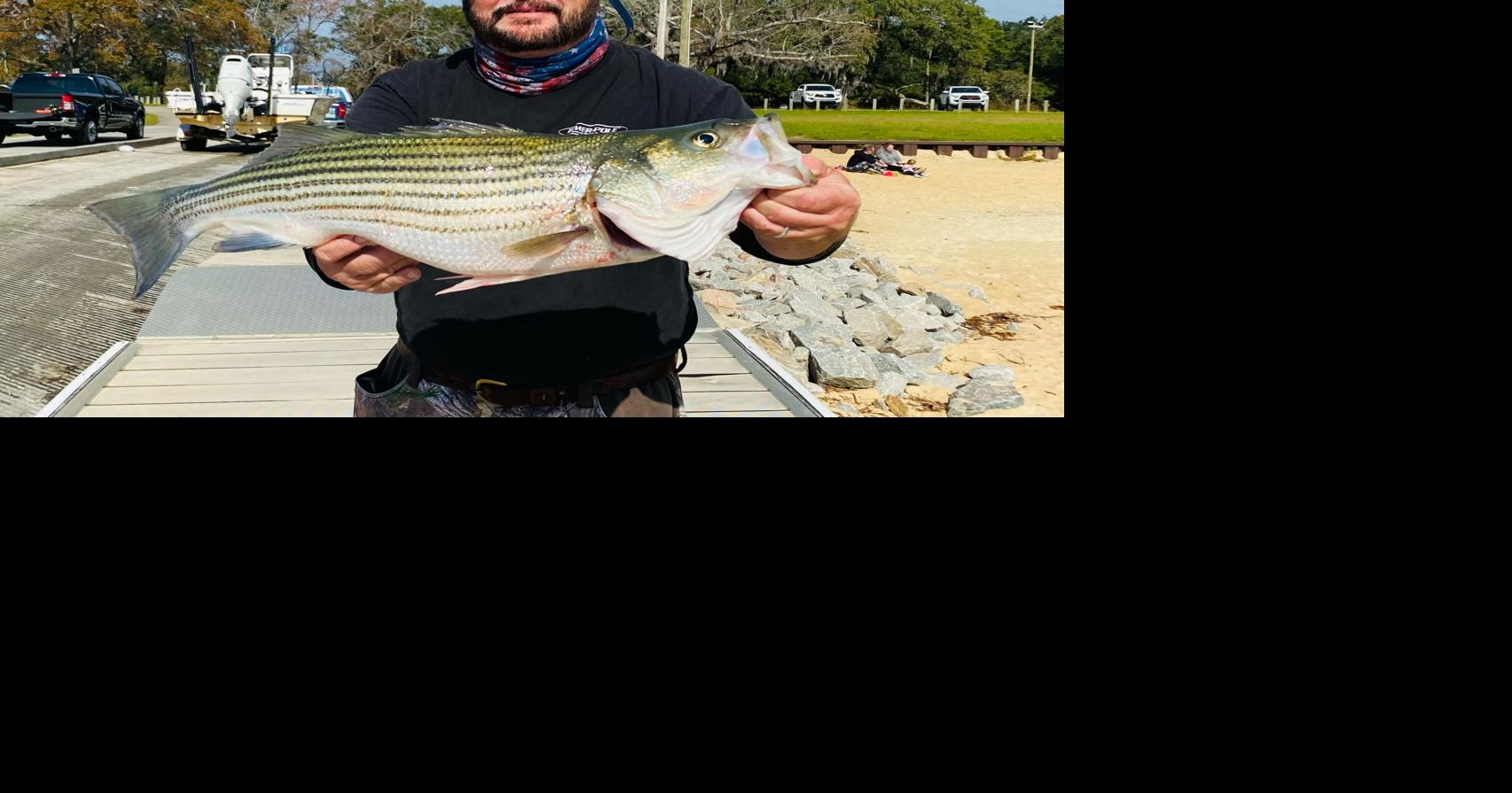 Cold outside? Let's fish for striper bass