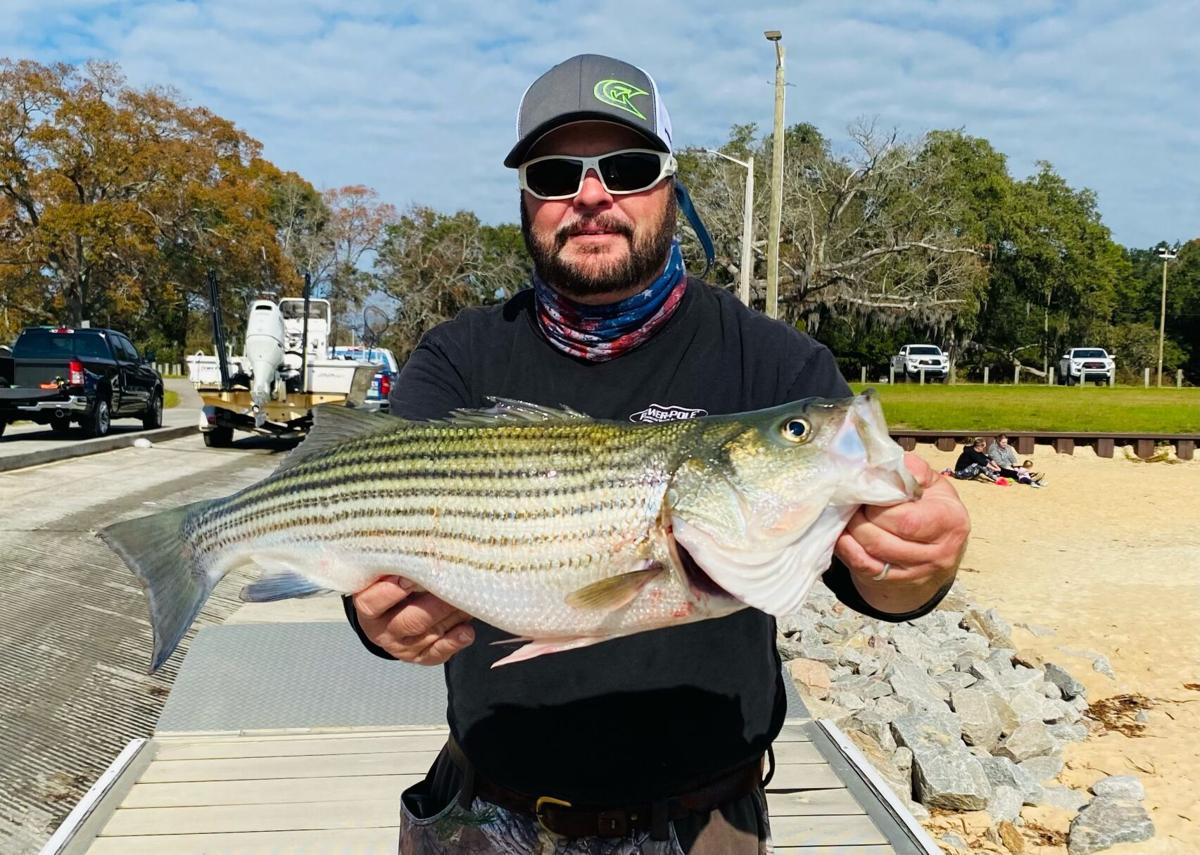 Catching Stripers Deep Into the Night - Anglers Journal - A