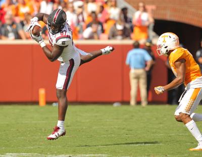 Gamecocks Tight Ends Have Constant Reminders Of Potential