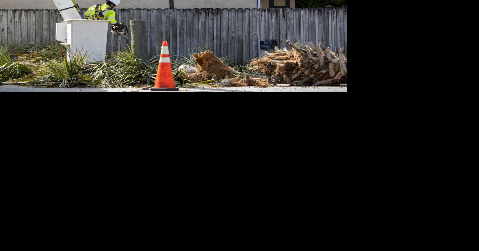 Dominion to answer resident questions about undergrounding before Charleston finalizes new agreement