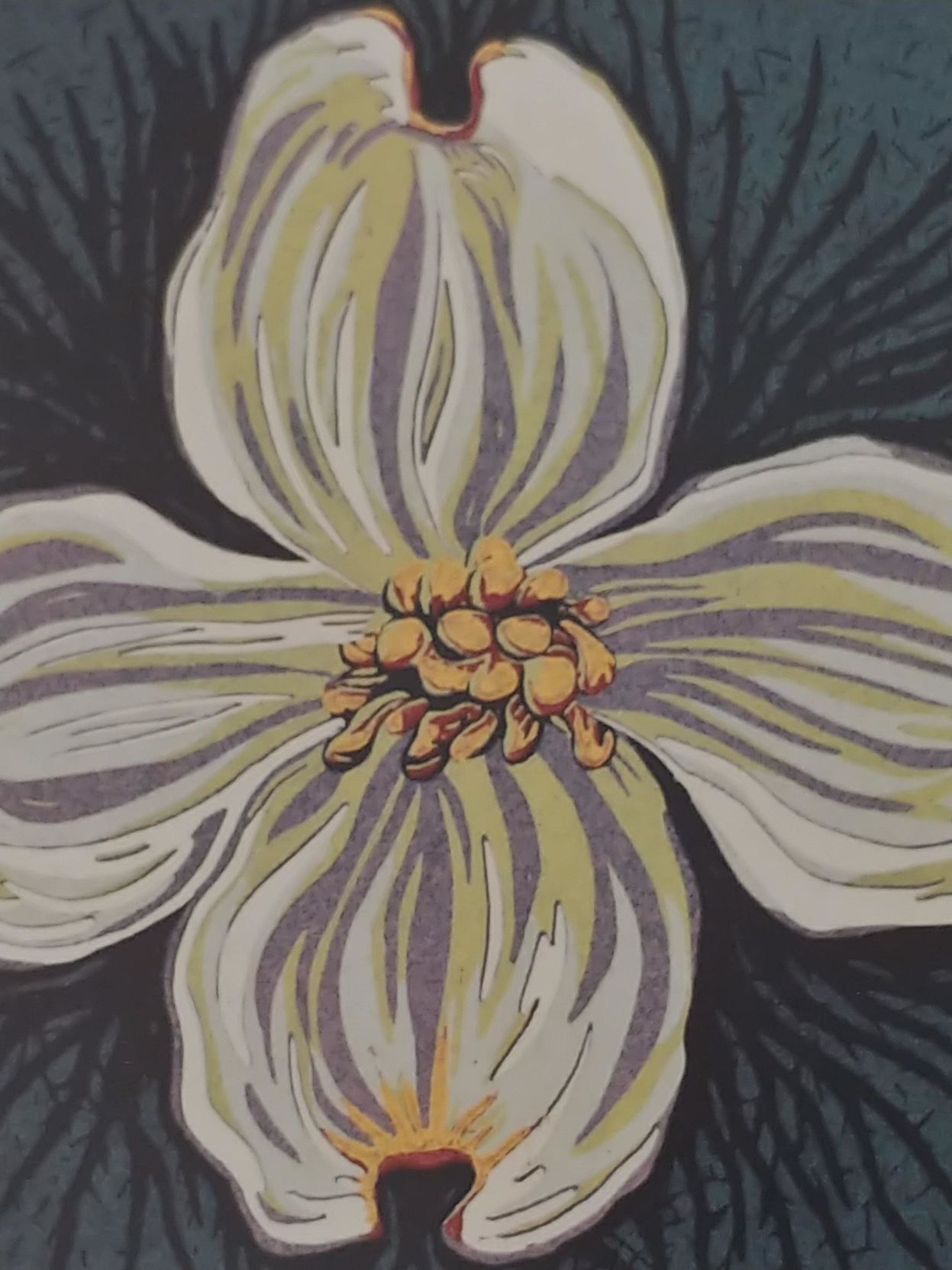 van gogh columbia