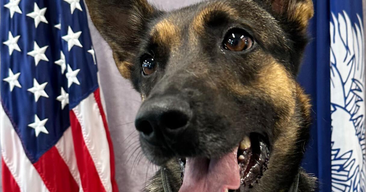 IOP Police introduce new canine - Vimarsana News