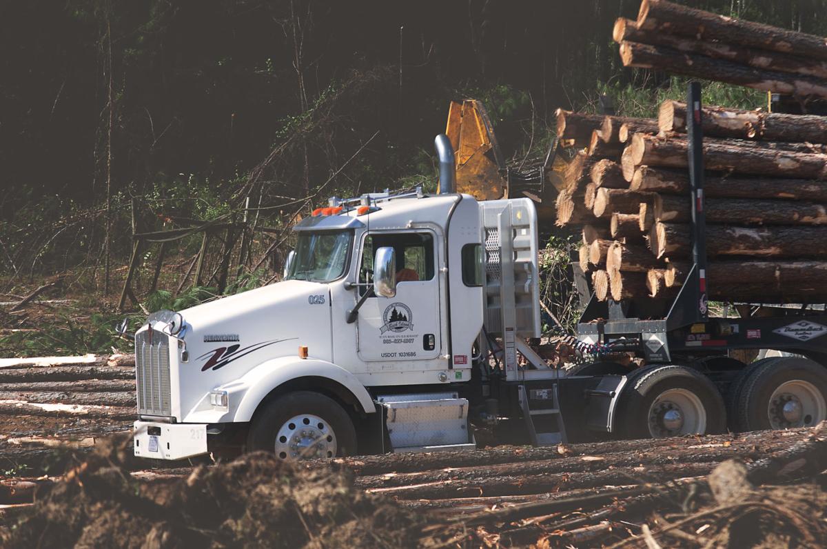 Sc Forest Industry Margins Chopped By Rising Transportation Costs South Ina Log Truck