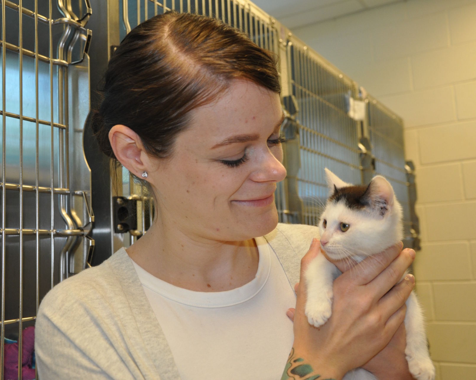 feline adoption center