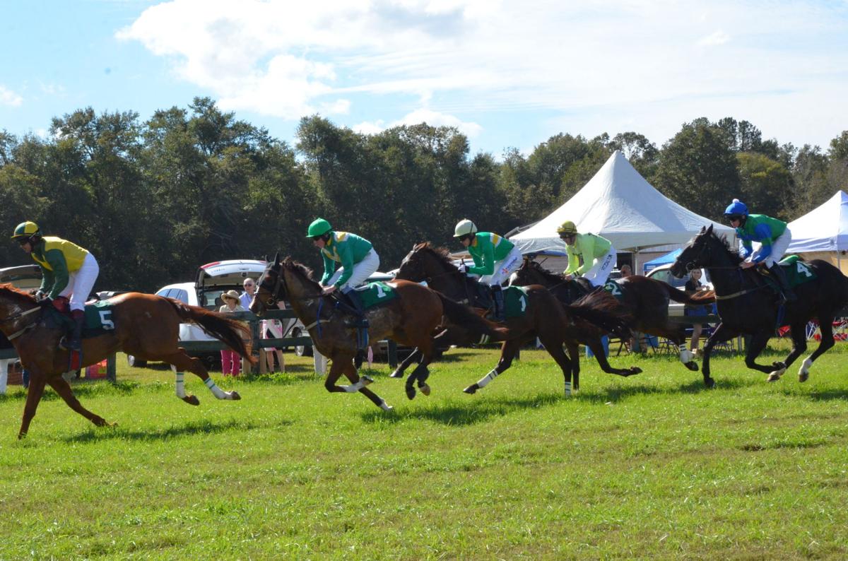 The Aiken Fall Steeplechase Slideshows