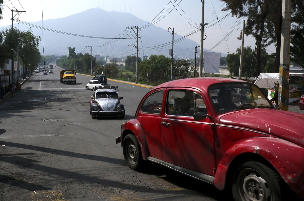 Mexico The Last Beetle