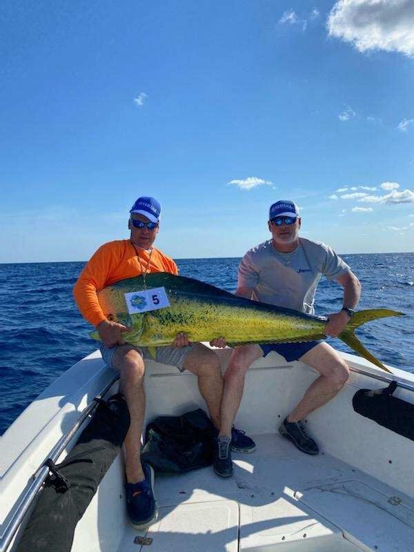 pound mahi mahi