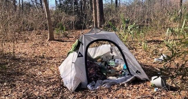 West Ashley homeless man known for machete wielding, arsons pleads guilty ...
