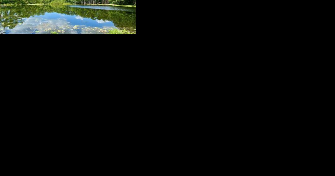 Outdoor recreation and natural beauty in Aiken County - Vimarsana News