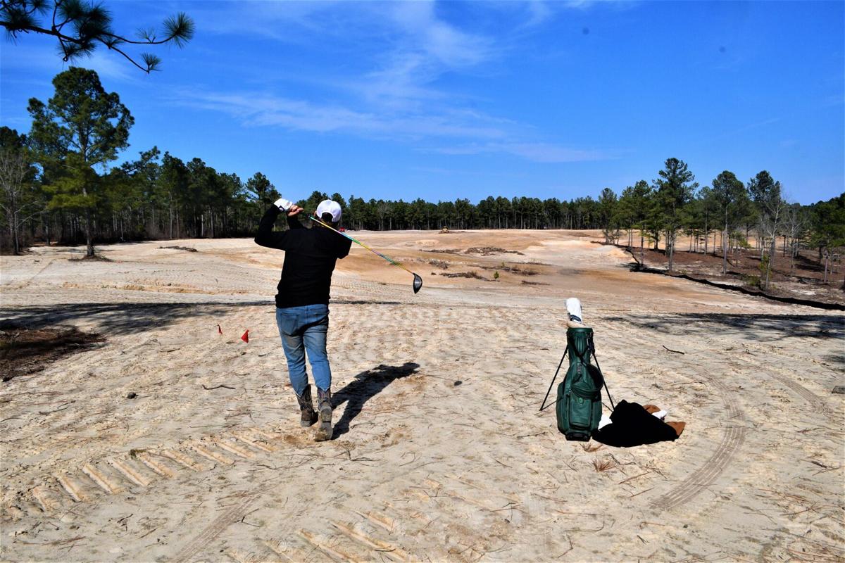 'A cool opportunity' The Tree Farm comes to life thanks to pro golfer