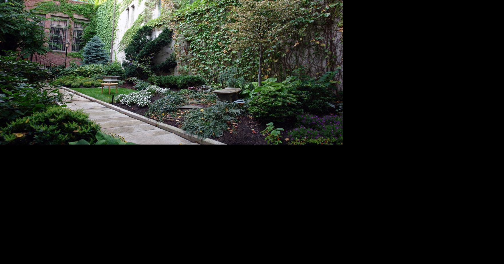 Finding light in beautiful shade gardens