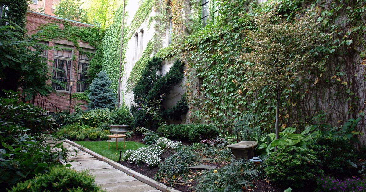 Finding light in beautiful shade gardens Finding light in beautiful shade gardens