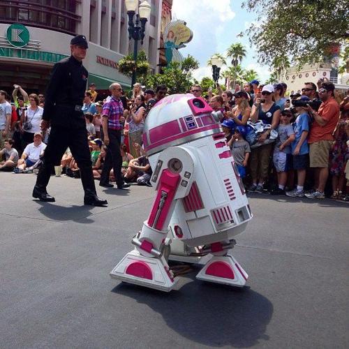 How a worldwide Star Wars fan group grew out of Columbia, South