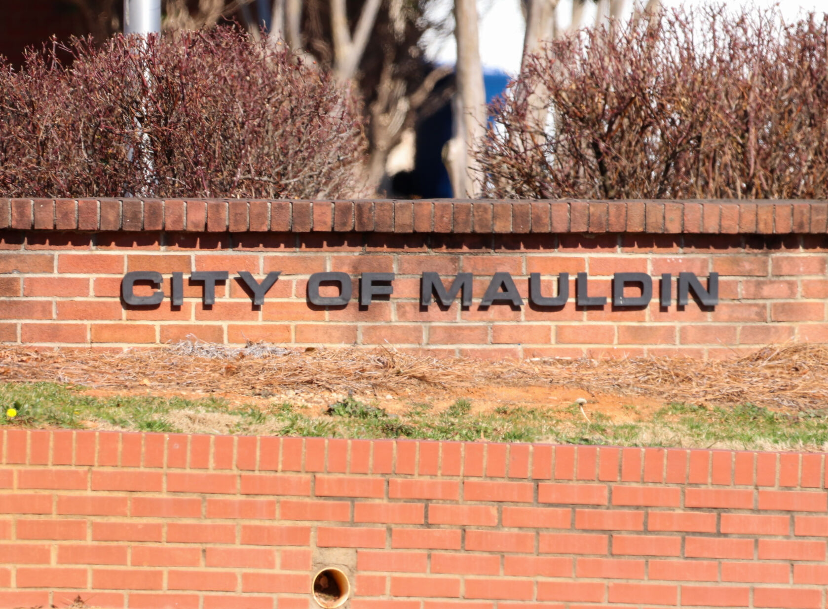 Mauldin names 3 finalists for police chief, with hire expected by end