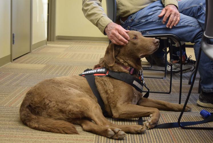 Wagener library hosts informal gettogethers for veterans Aiken Area