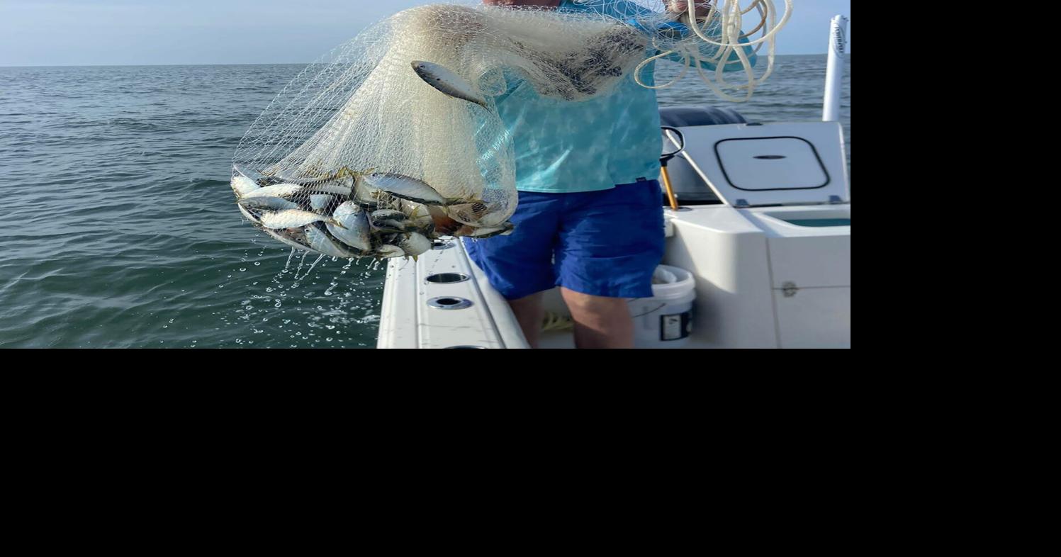 Fishing in the summer heat? Lowcountry captains share their best tips