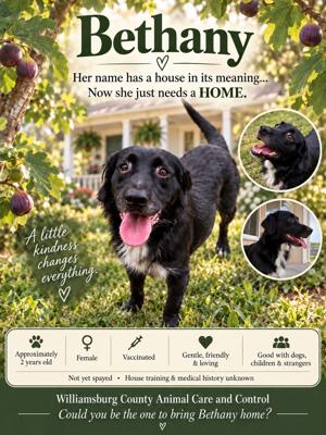 Furever-Bethany