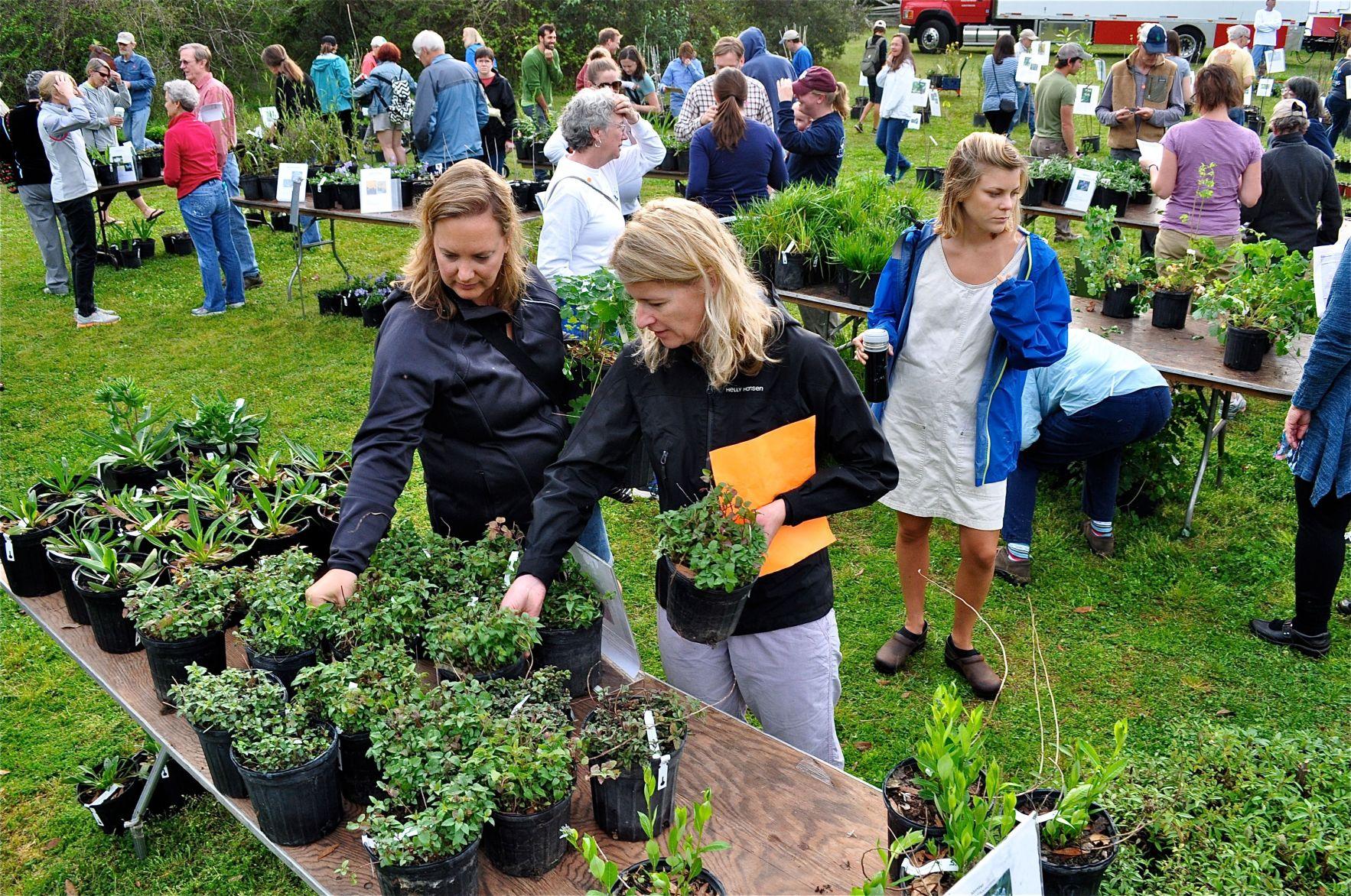 Native Plant Society to hold fall sale Saturday Home and Garden