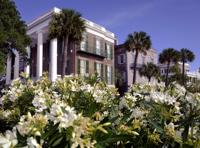 Poisonous plants, venomous spiders and other surprises for some who relocate to SC