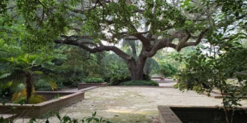 We Are Aiken County: Hopelands Gardens is a peaceful respite in a busy city  | We Are Aiken | postandcourier.com