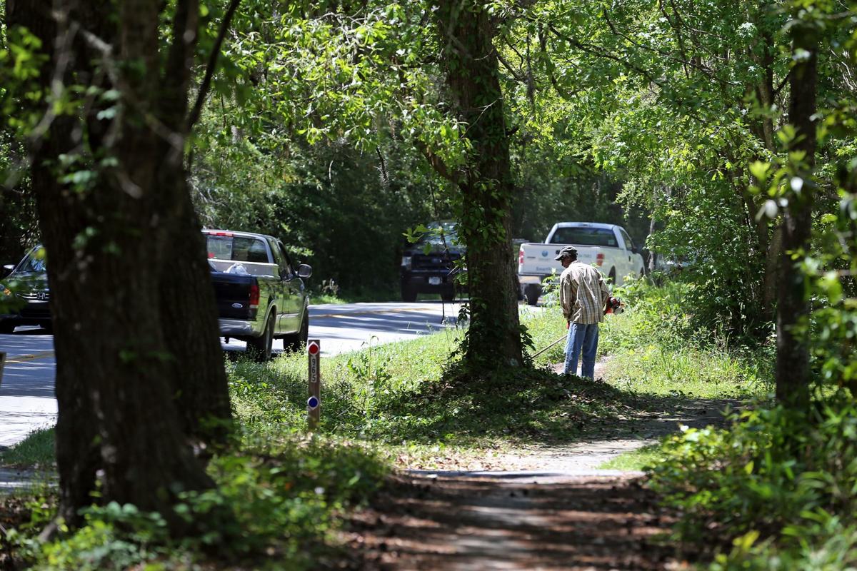 A backlash develops against Mount Pleasant's plan to extend Long Point Road News